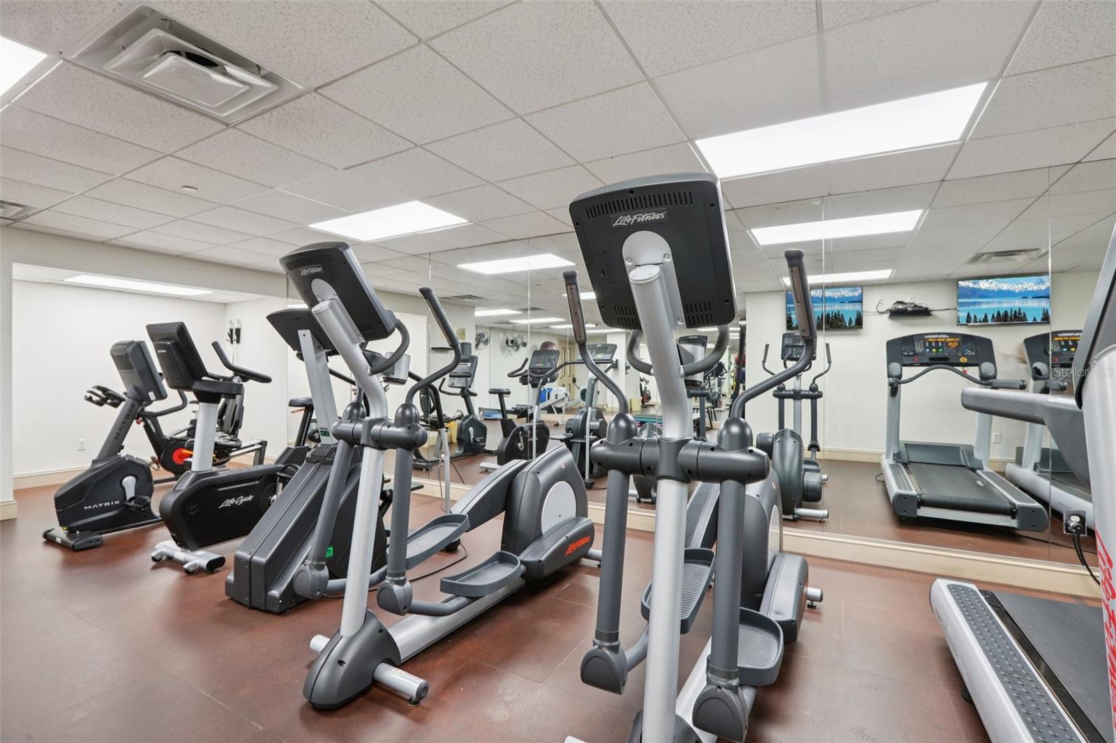 345 BAYSHORE BLVD #907, TAMPA, FL, 33606