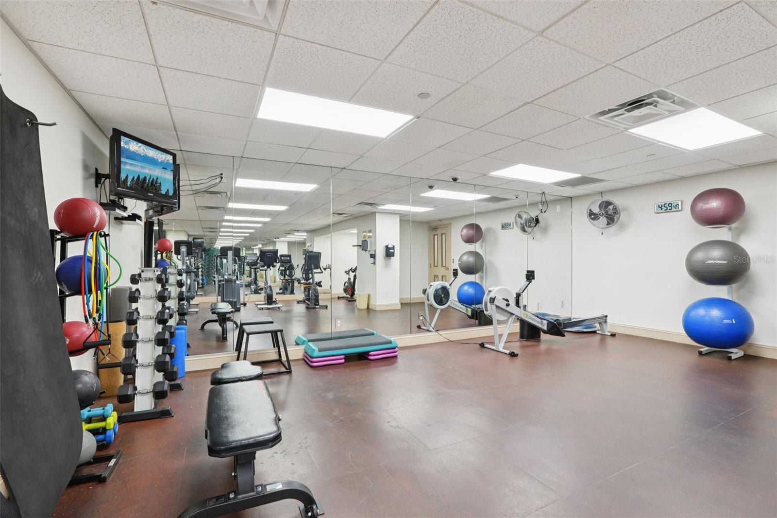 345 BAYSHORE BLVD #907, TAMPA, FL, 33606