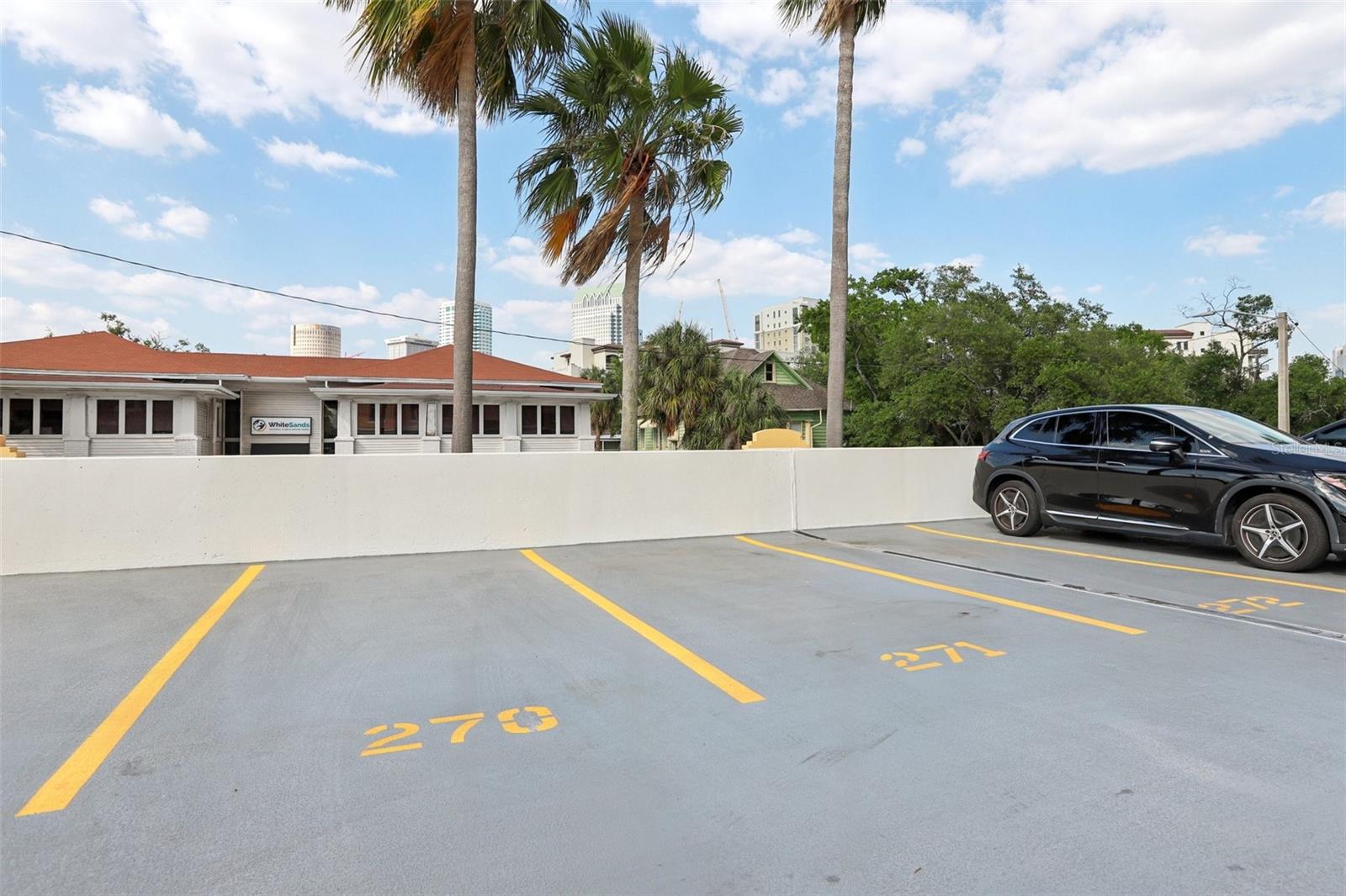 345 BAYSHORE BLVD #907, TAMPA, FL, 33606