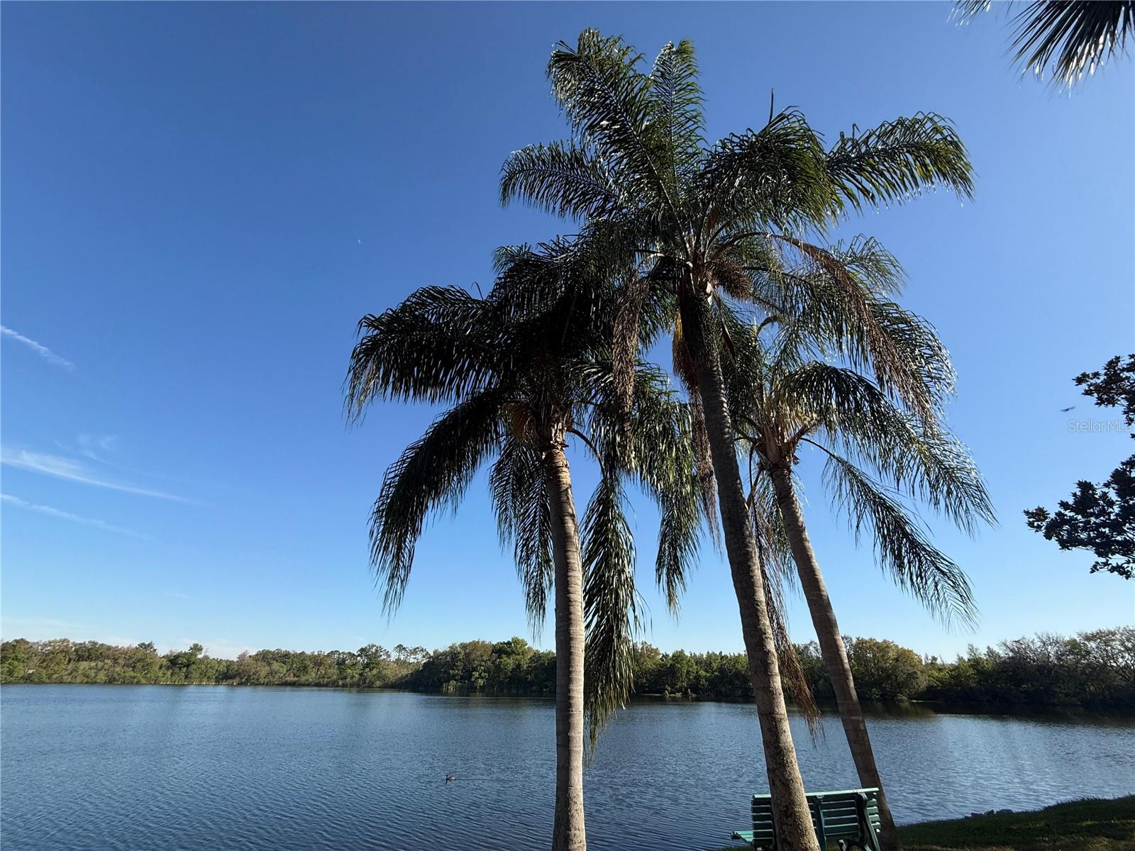 1979 SUMMER CLUB DR #213, OVIEDO, FL, 32765