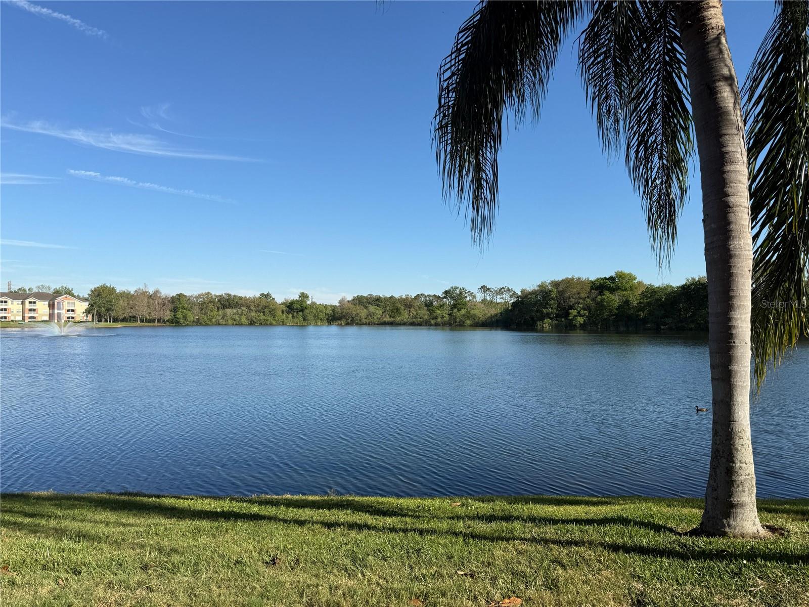 1979 SUMMER CLUB DR #213, OVIEDO, FL, 32765