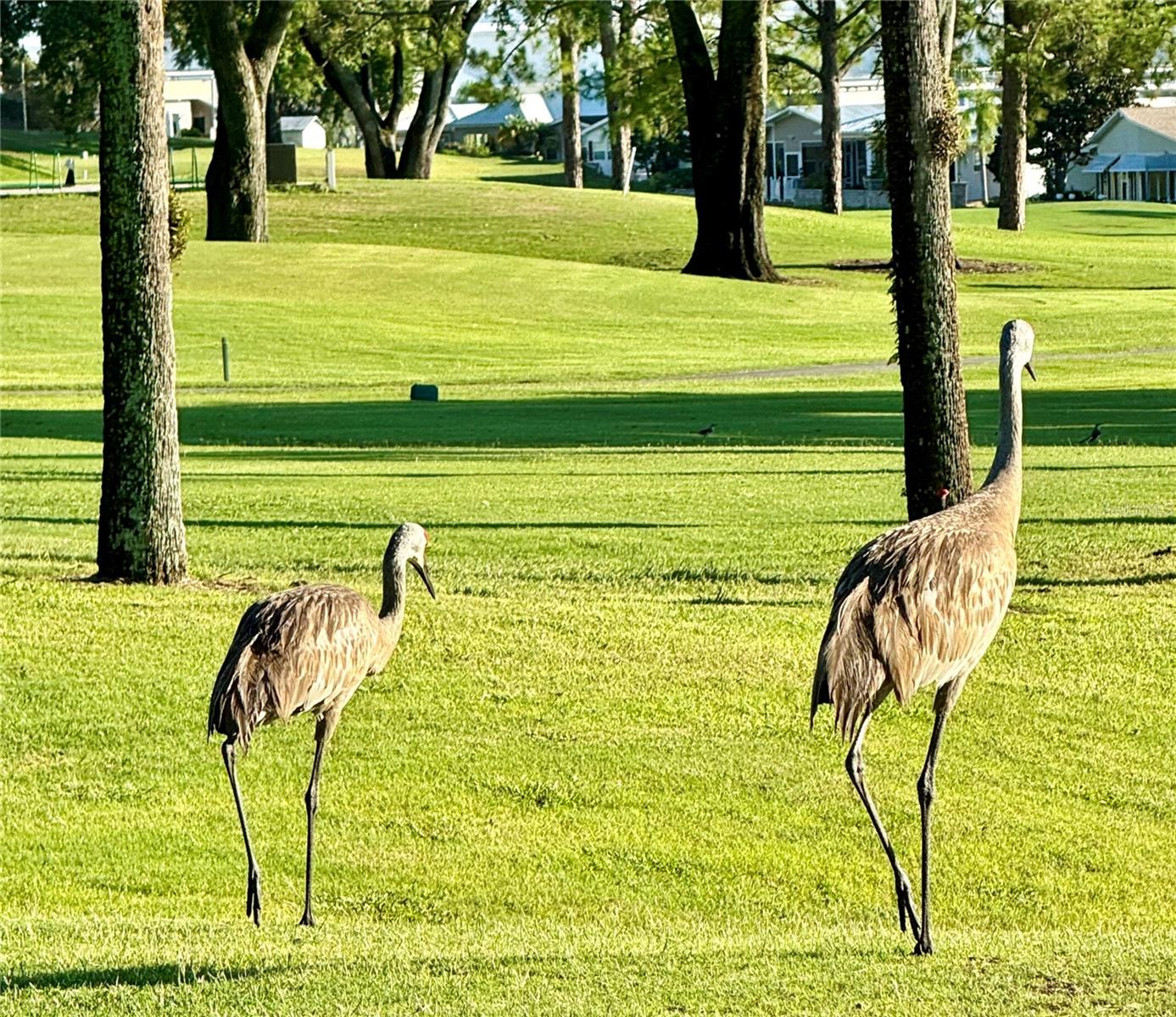 146 JACK NICKLAUS LN, DAVENPORT, FL, 33837