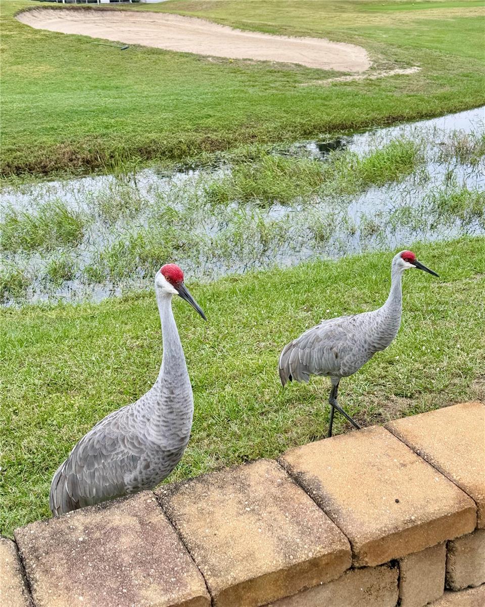 146 JACK NICKLAUS LN, DAVENPORT, FL, 33837