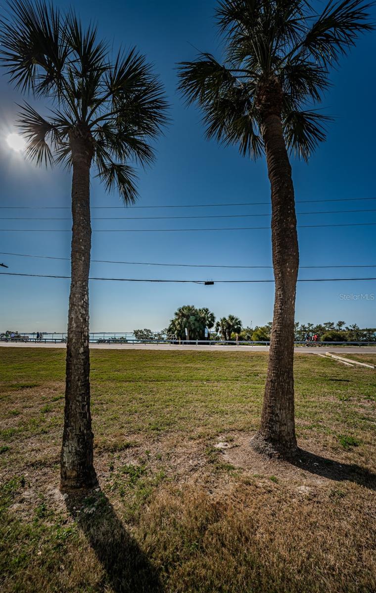 2 CAUSEWAY BLVD #208, DUNEDIN, FL, 34698