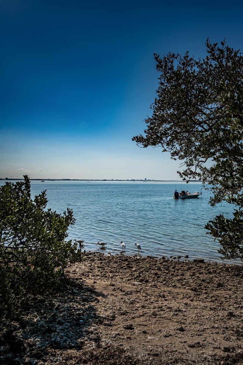 2 CAUSEWAY BLVD #208, DUNEDIN, FL, 34698