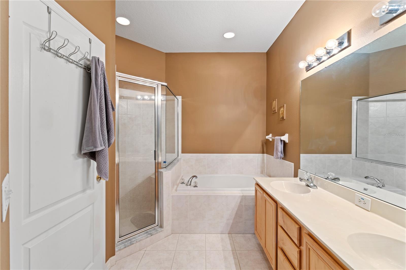 19182 LAKE AUDUBON DR, TAMPA, FL, 33647