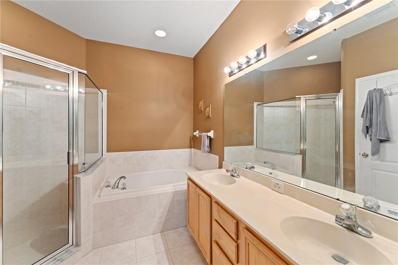 19182 LAKE AUDUBON DR, TAMPA, FL, 33647