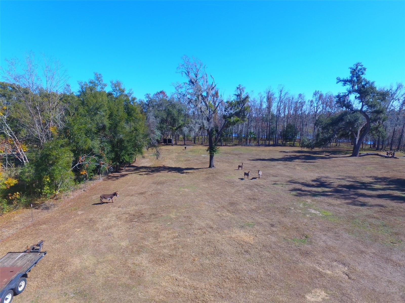 37214 HESTER RD, DADE CITY, FL, 33525