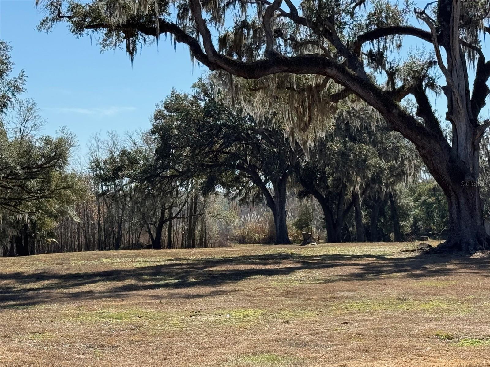 37214 HESTER RD, DADE CITY, FL, 33525