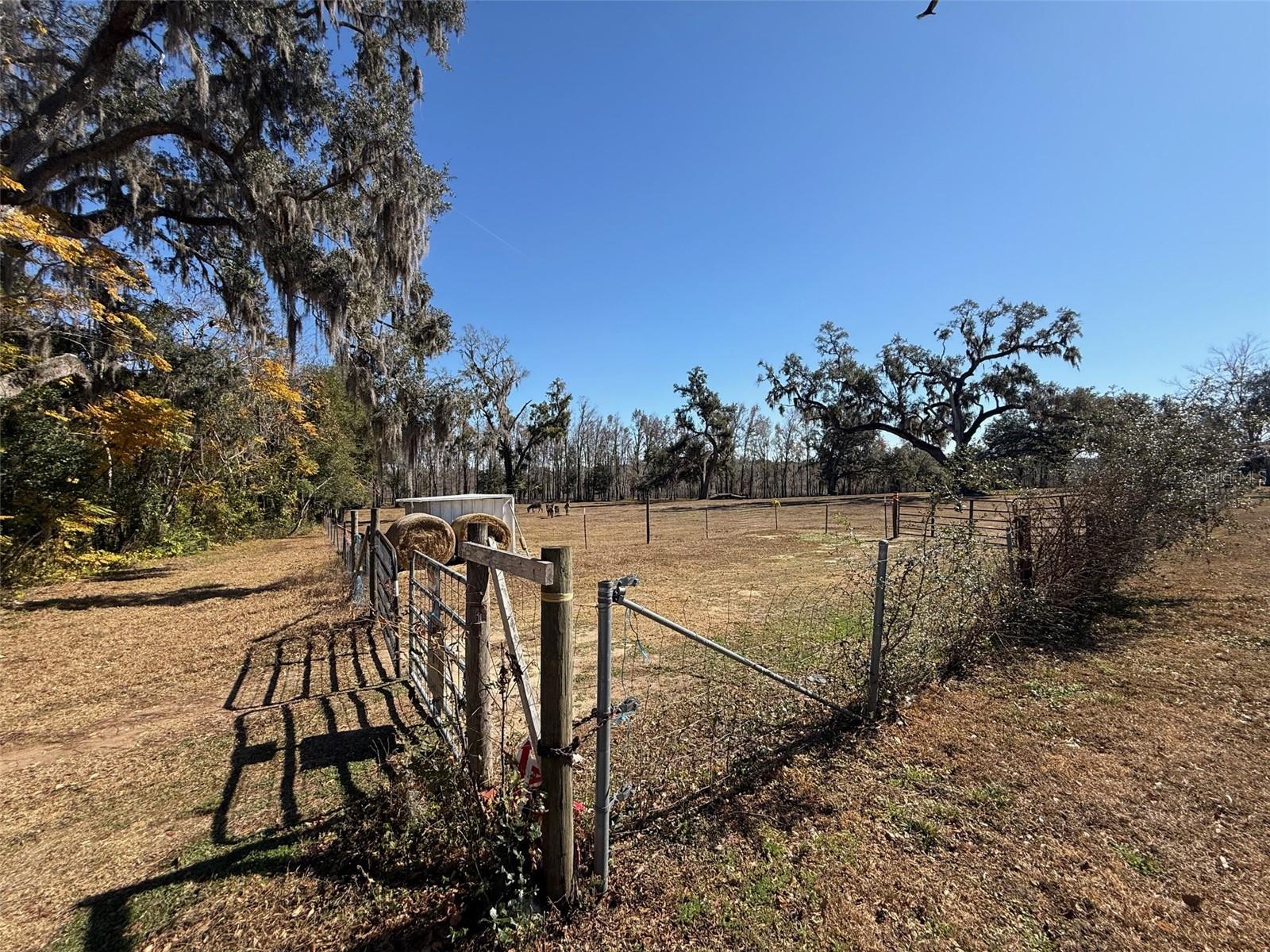 37214 HESTER RD, DADE CITY, FL, 33525