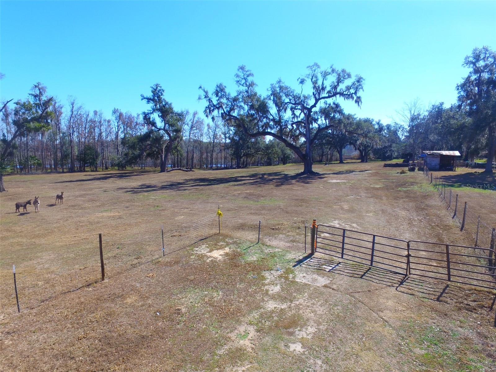 37214 HESTER RD, DADE CITY, FL, 33525