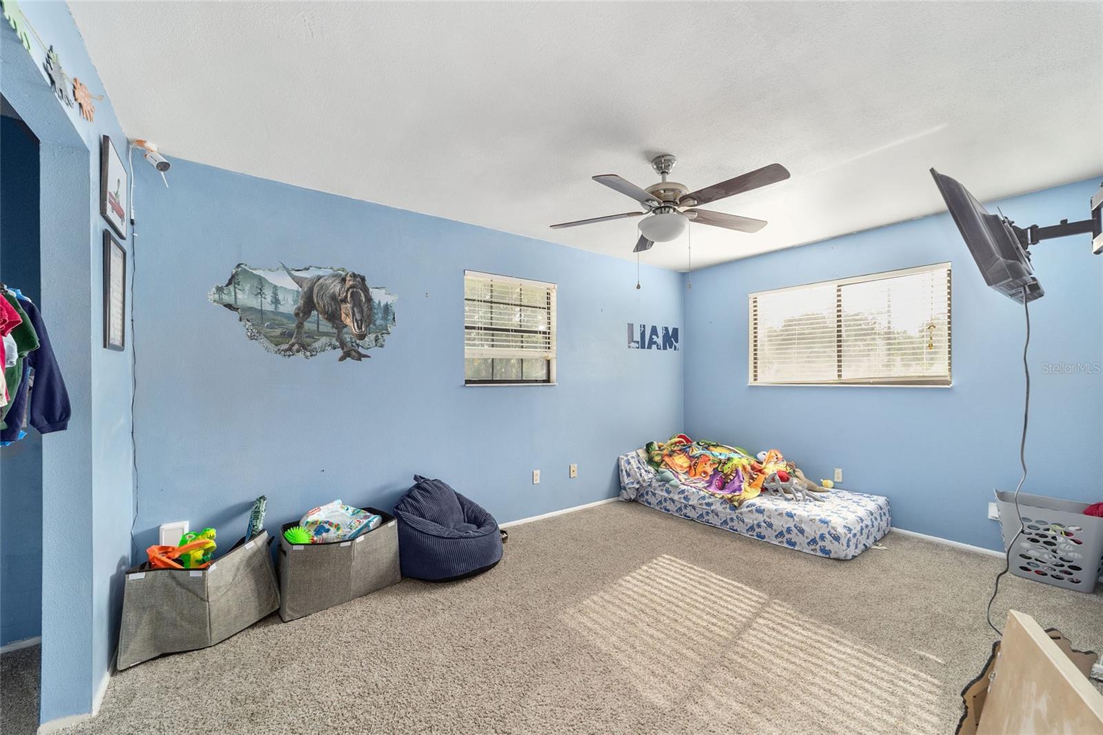 20 CEDAR TRCE, OCALA, FL, 34472