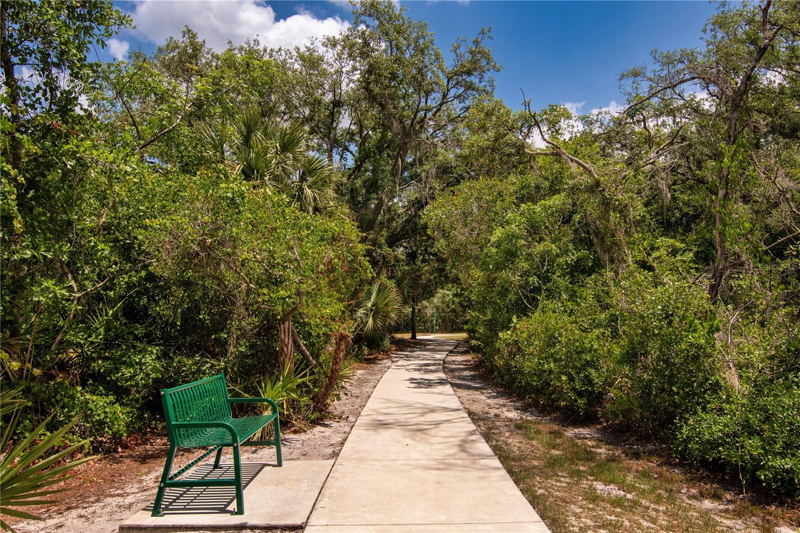 16269 YELLOWEYED DR, CLERMONT, FL, 34714