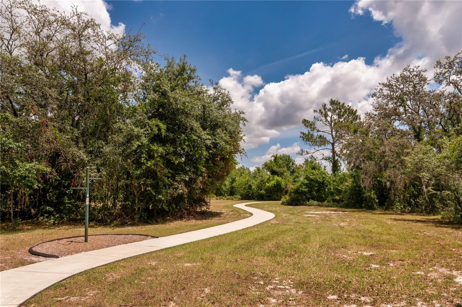 16269 YELLOWEYED DR, CLERMONT, FL, 34714