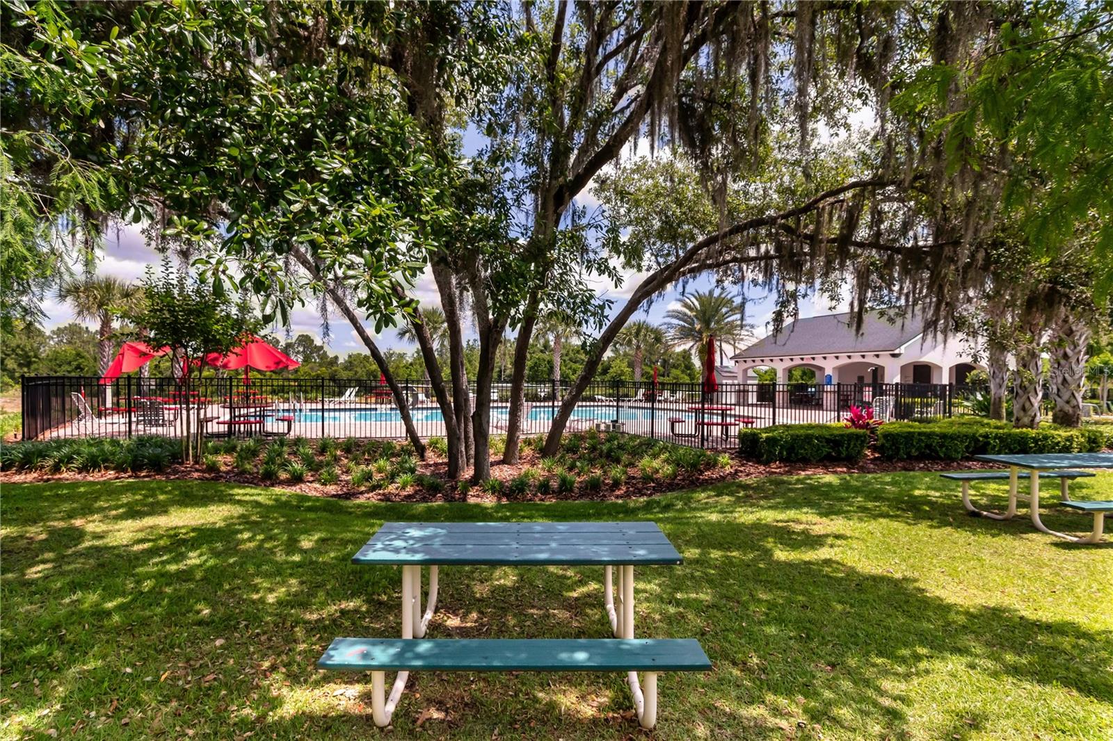 16269 YELLOWEYED DR, CLERMONT, FL, 34714