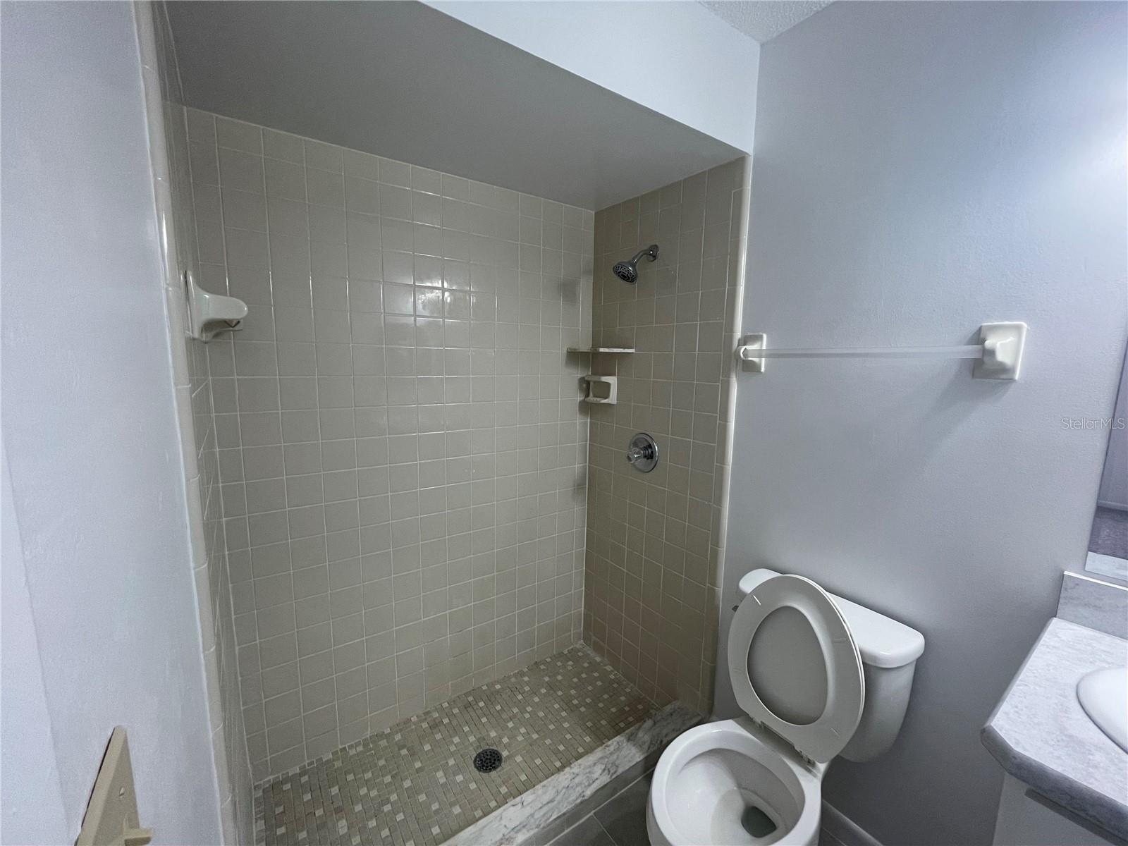 2395 TOMOKA WOODS PKWY, DE LEON SPRINGS, FL, 32130