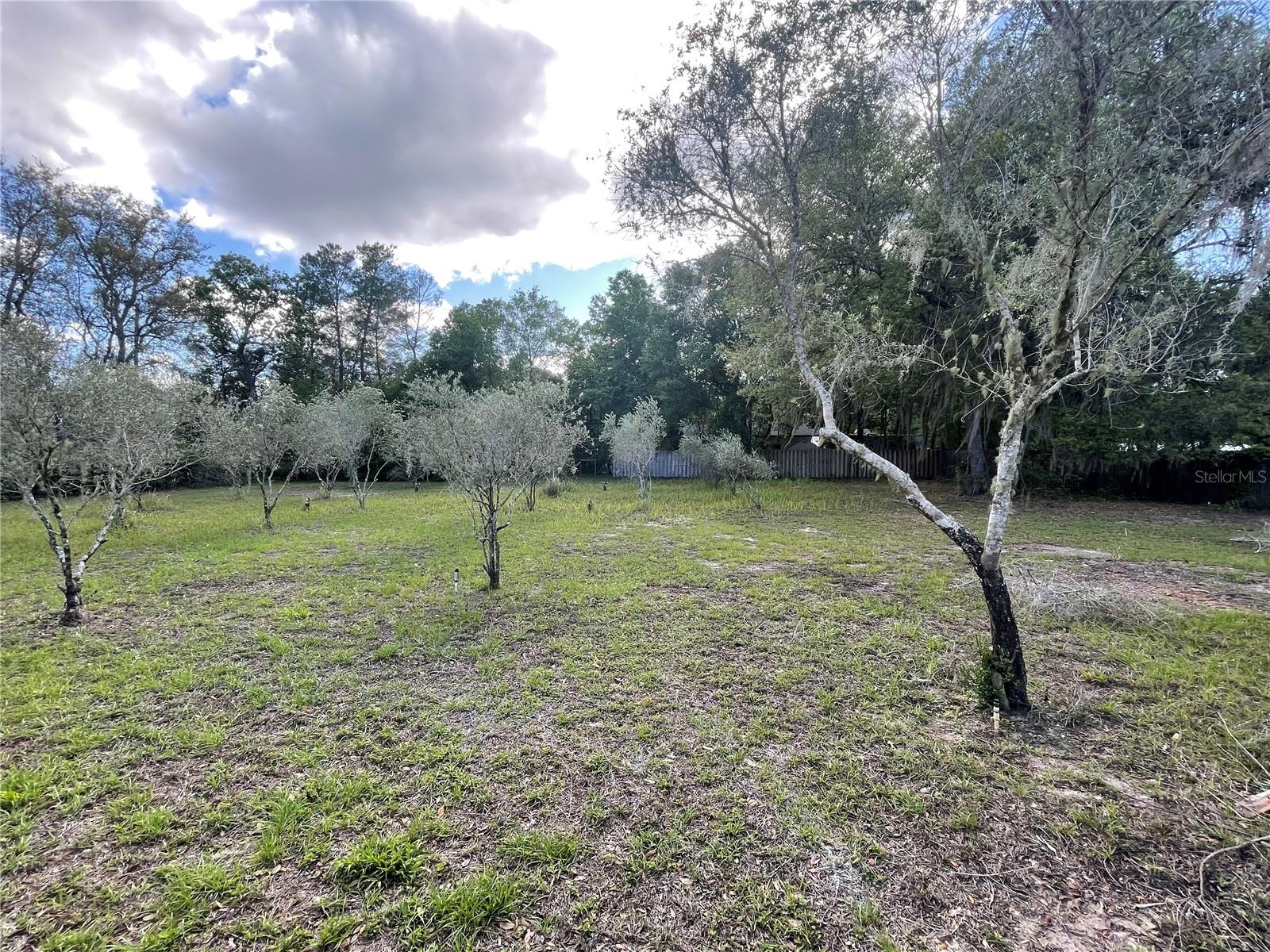 2395 TOMOKA WOODS PKWY, DE LEON SPRINGS, FL, 32130