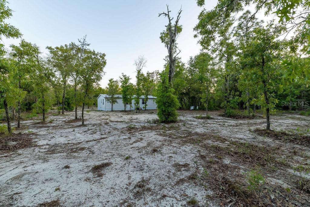 9591 NE 87TH PL, BRONSON, FL, 32621