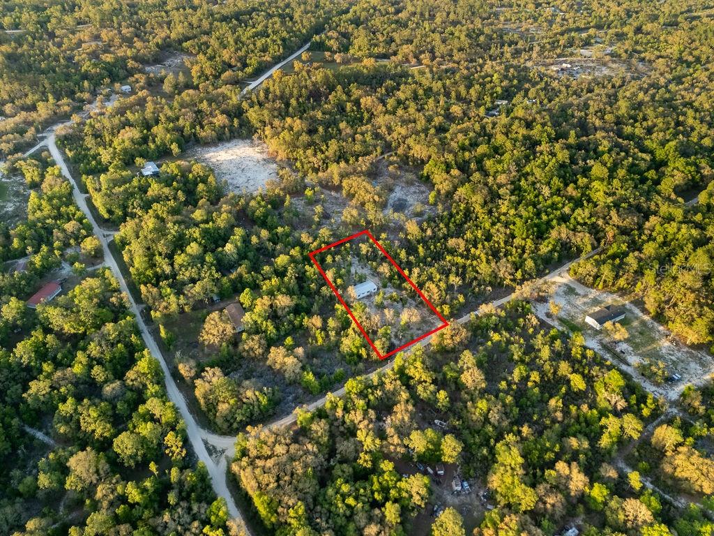 9591 NE 87TH PL, BRONSON, FL, 32621