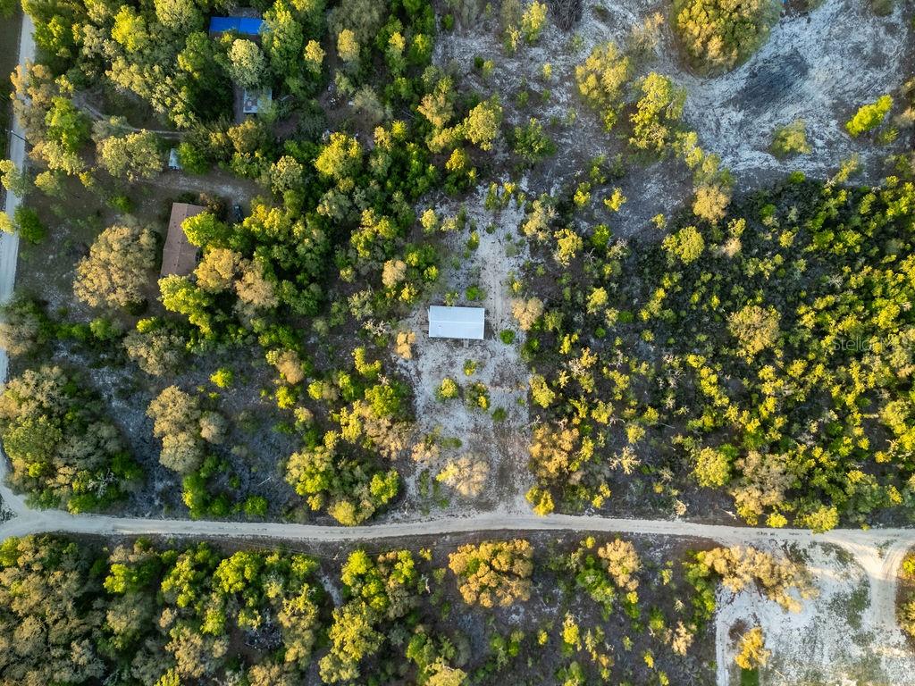 9591 NE 87TH PL, BRONSON, FL, 32621