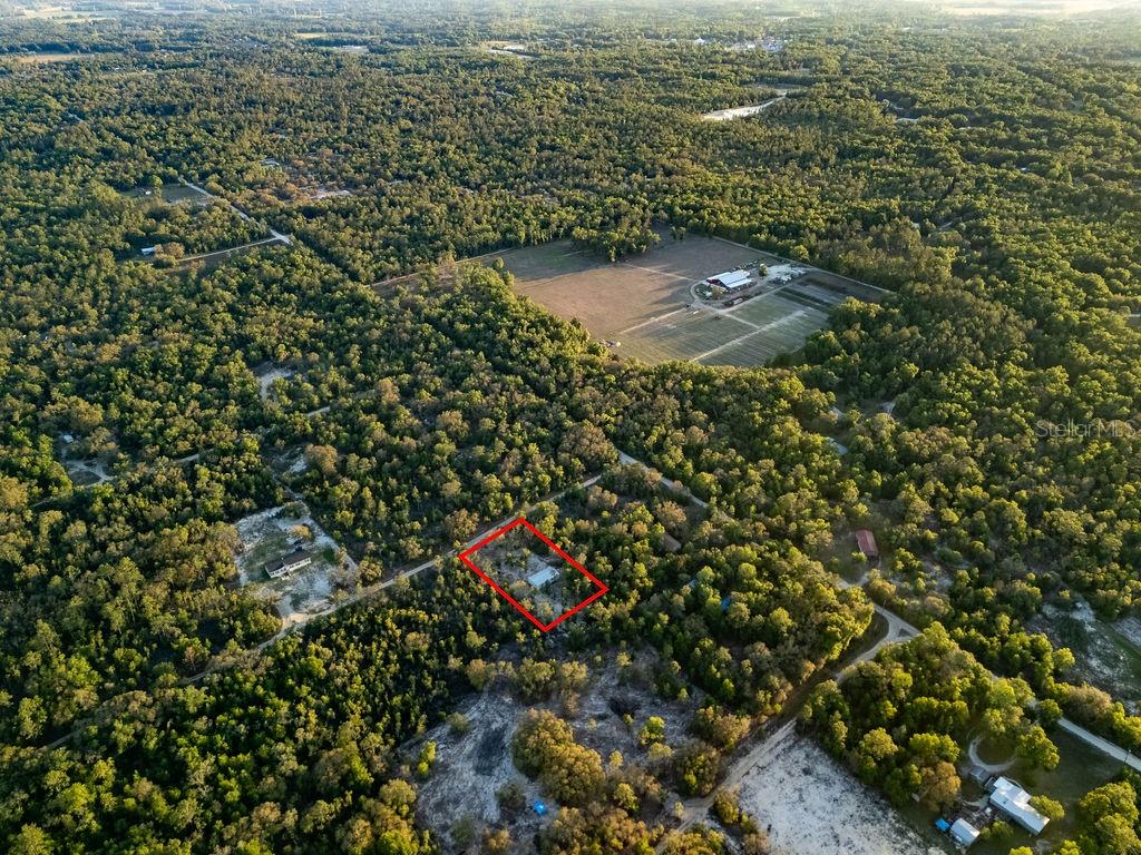 9591 NE 87TH PL, BRONSON, FL, 32621