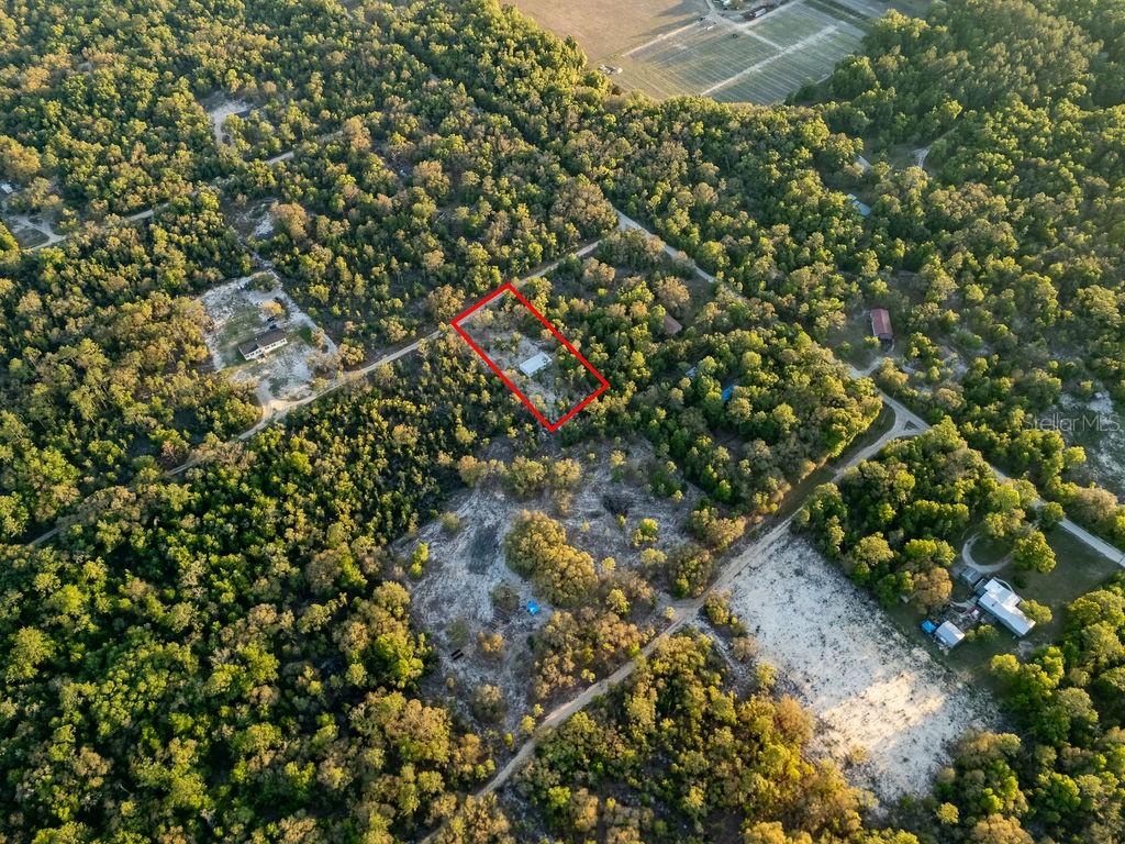 9591 NE 87TH PL, BRONSON, FL, 32621