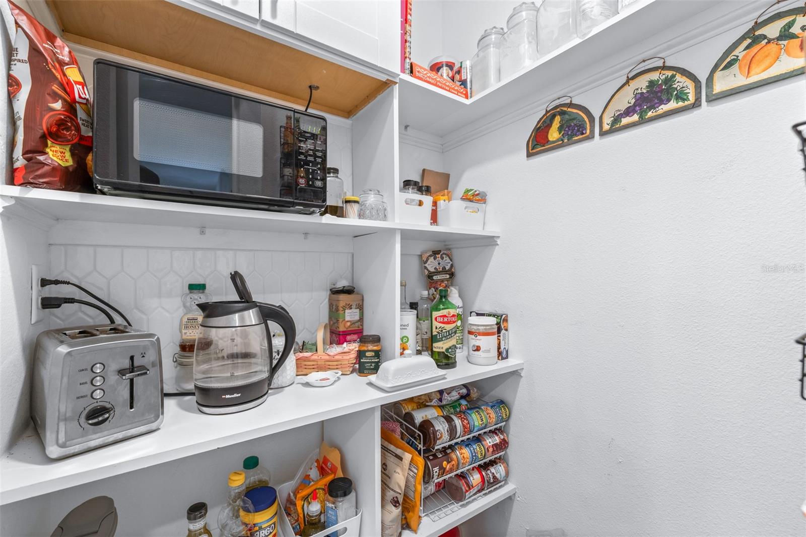 8969 LITTLE BLUESTEM DR, LAND O LAKES, FL, 34637