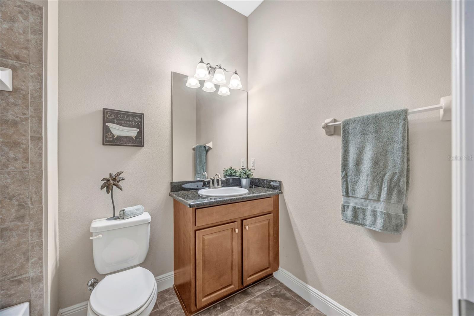 5201 SPARROWGLEN PL, LITHIA, FL, 33547