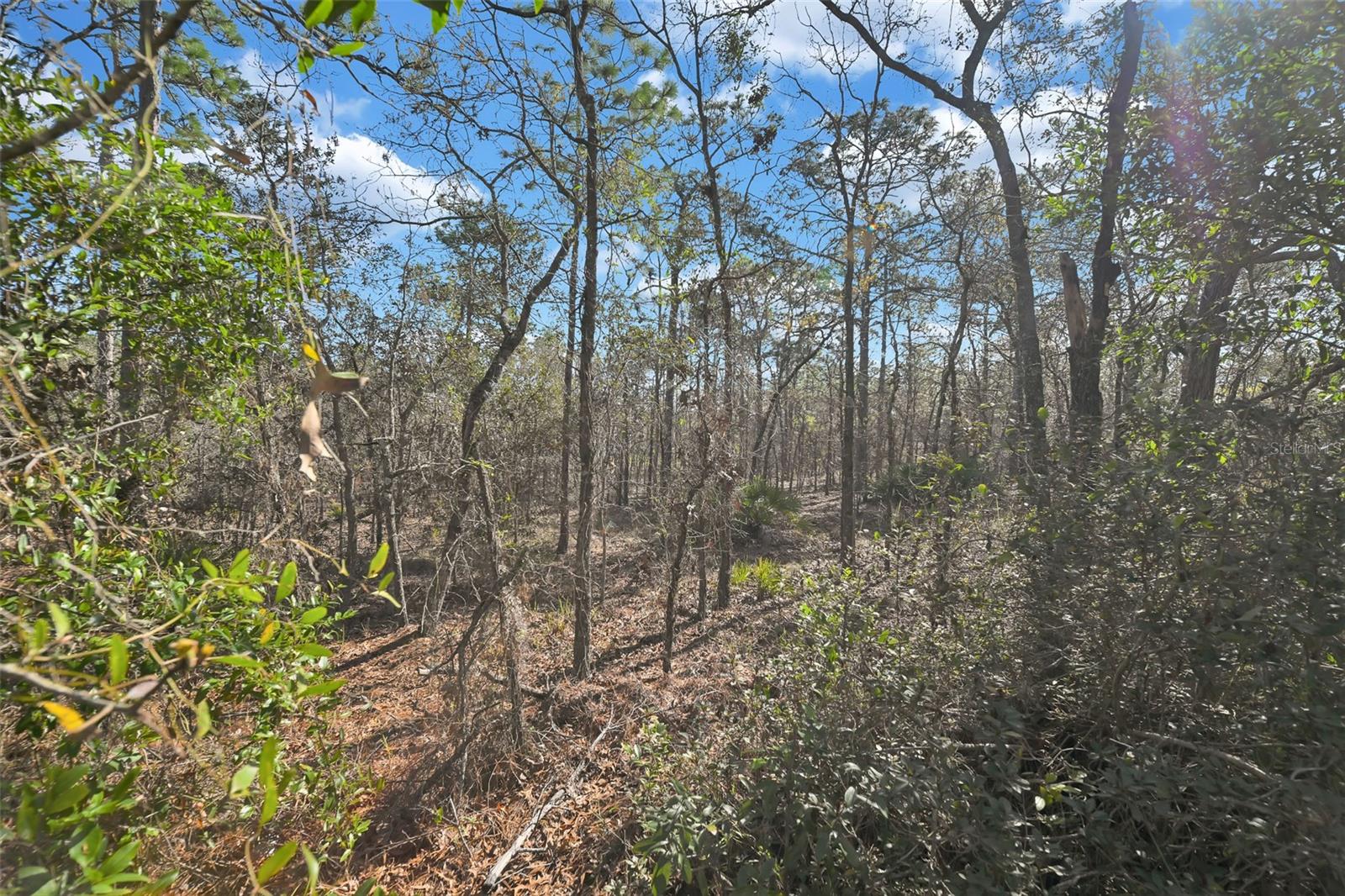 17 ELDER CT E, HOMOSASSA, FL, 34446