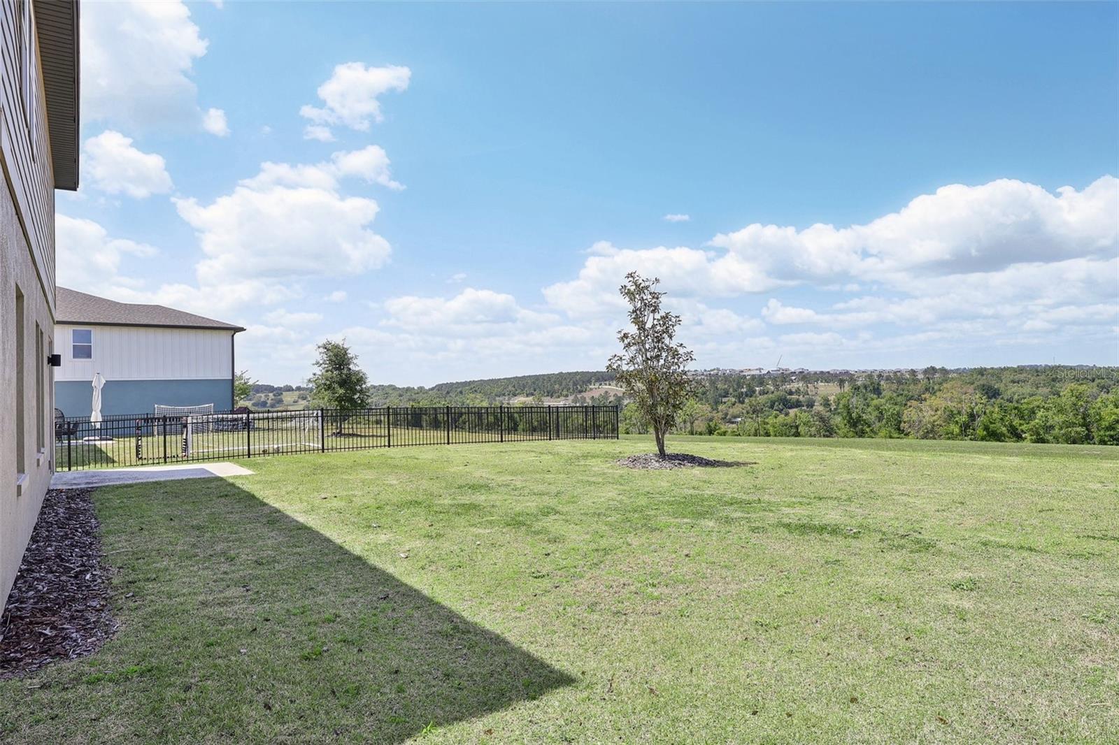 2326 GOLD DUST DR, MINNEOLA, FL, 34715