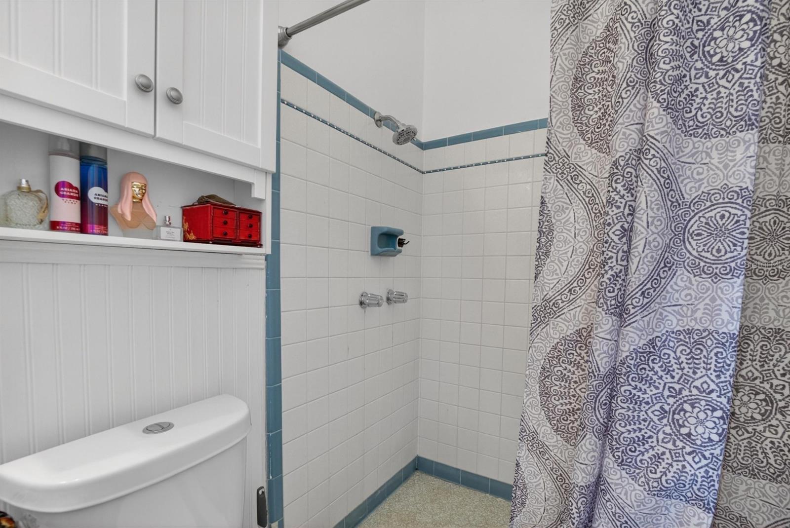 113 6TH JPV ST, WINTER HAVEN, FL, 33880