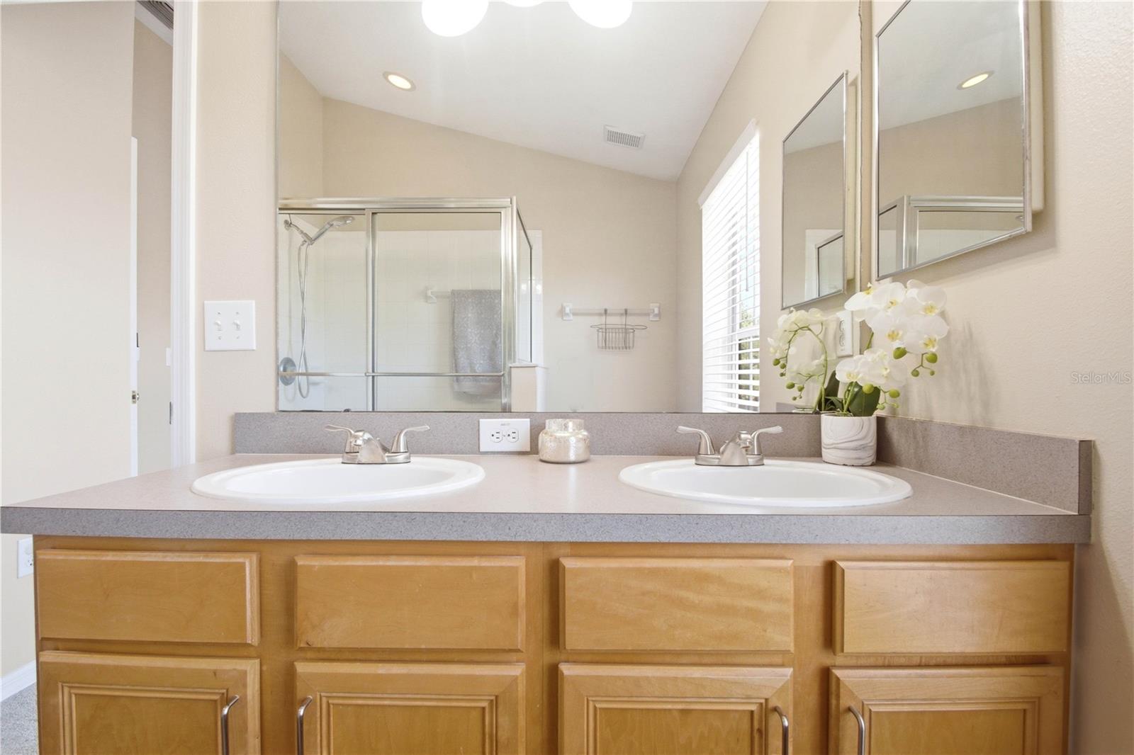 9808 NEW PARKE RD, TAMPA, FL, 33626