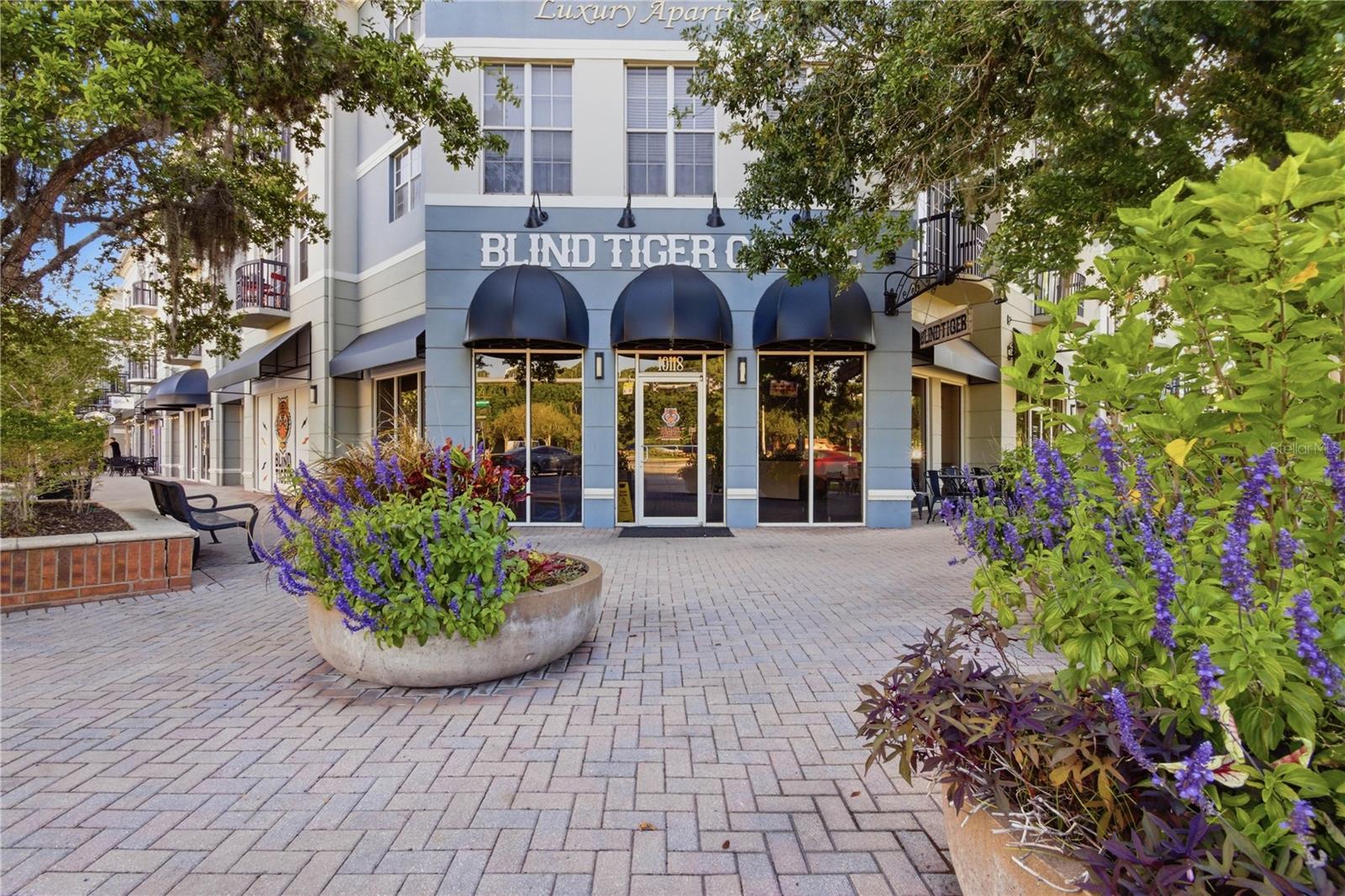 9808 NEW PARKE RD, TAMPA, FL, 33626