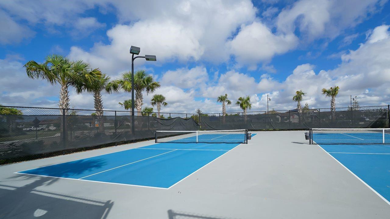 17007 BLUE RIDGE PL, BRADENTON, FL, 34211