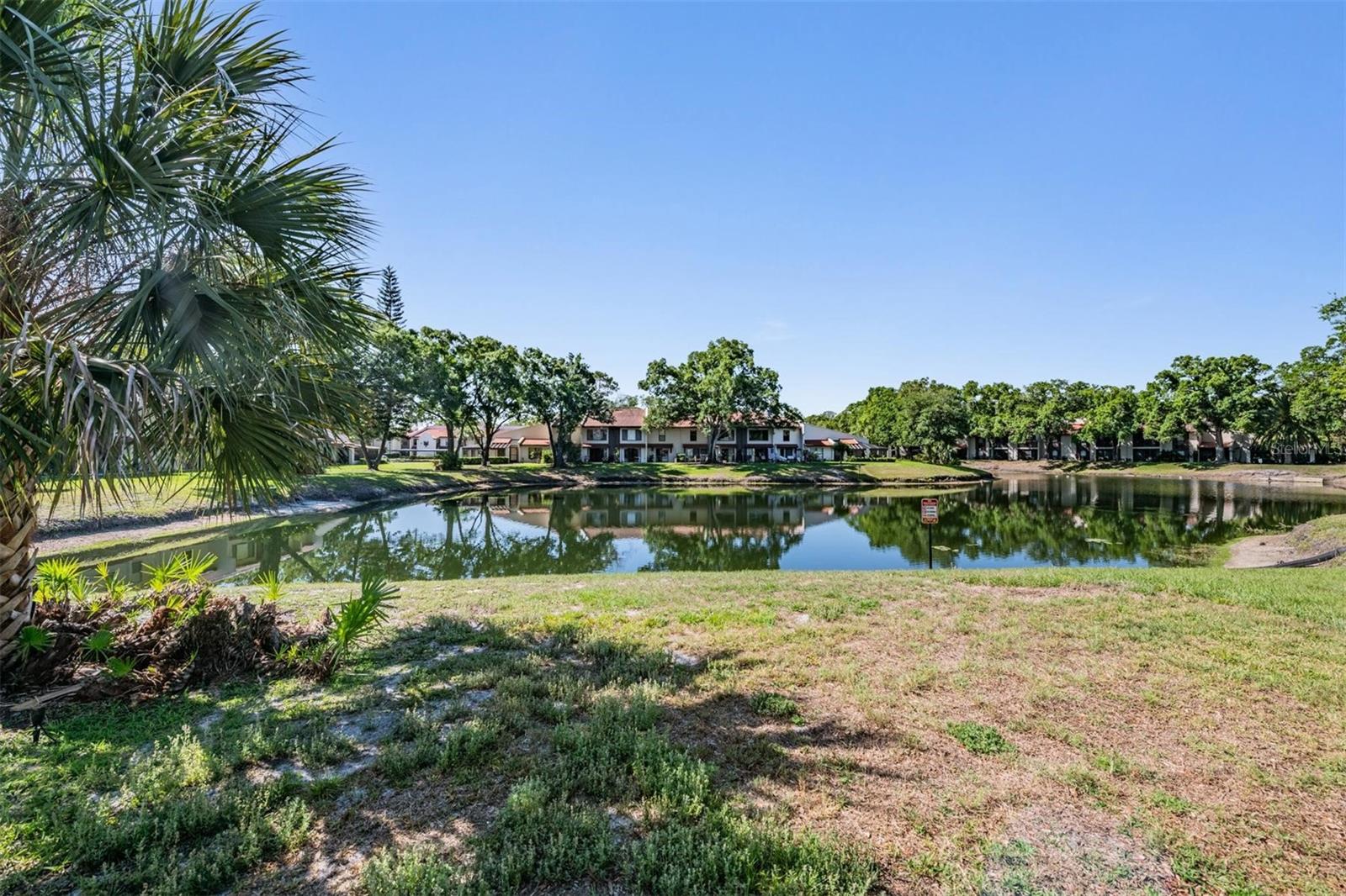 3505 TARPON WOODS BLVD #N401, PALM HARBOR, FL, 34685