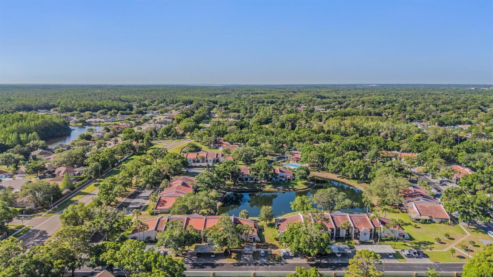 3505 TARPON WOODS BLVD #N401, PALM HARBOR, FL, 34685