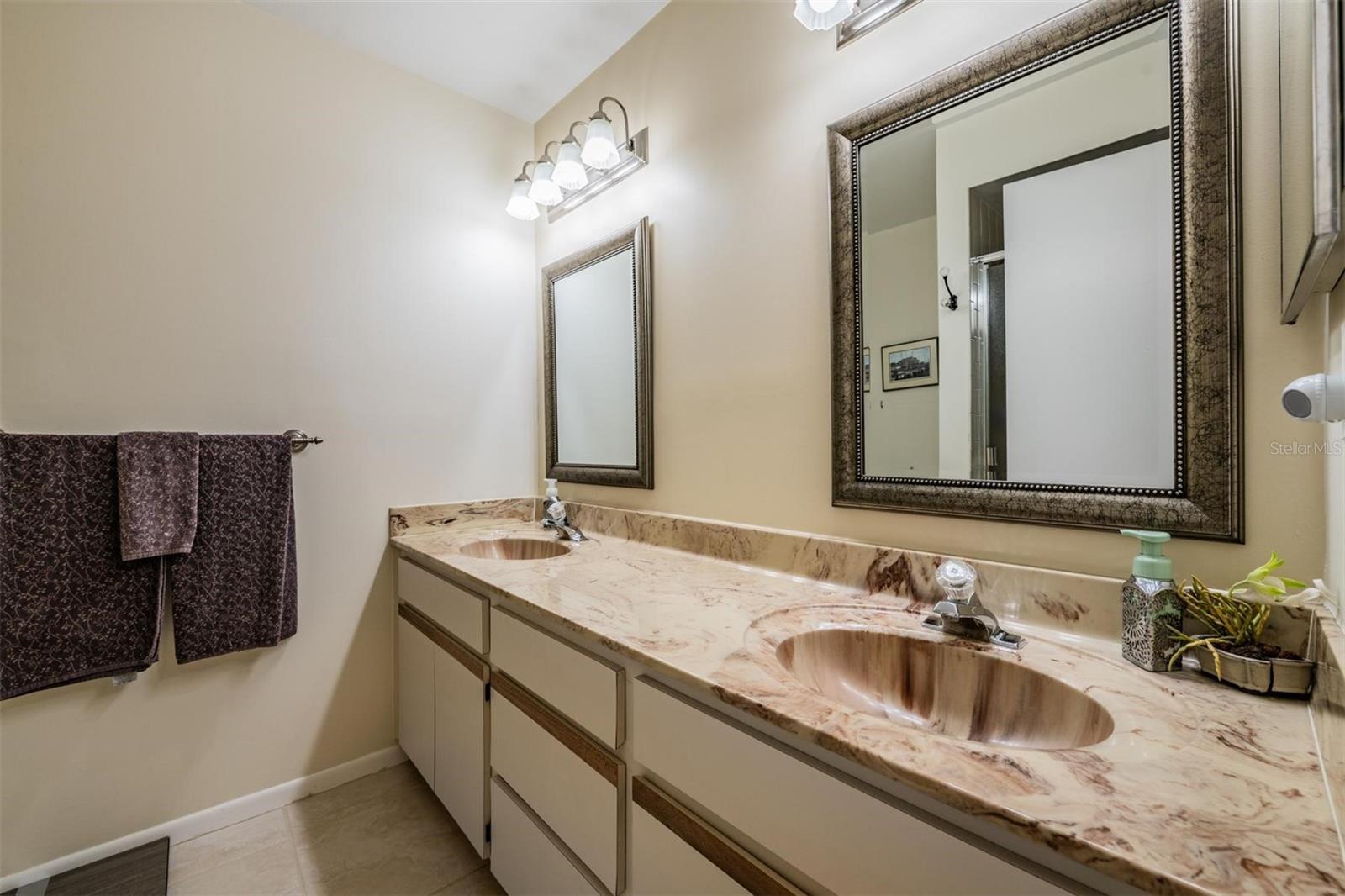 3505 TARPON WOODS BLVD #N401, PALM HARBOR, FL, 34685