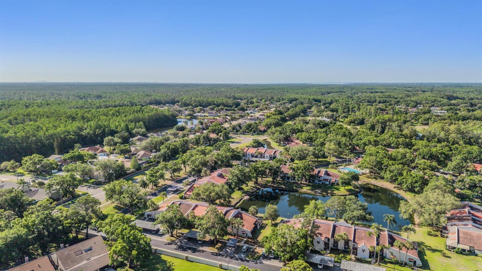 3505 TARPON WOODS BLVD #N401, PALM HARBOR, FL, 34685