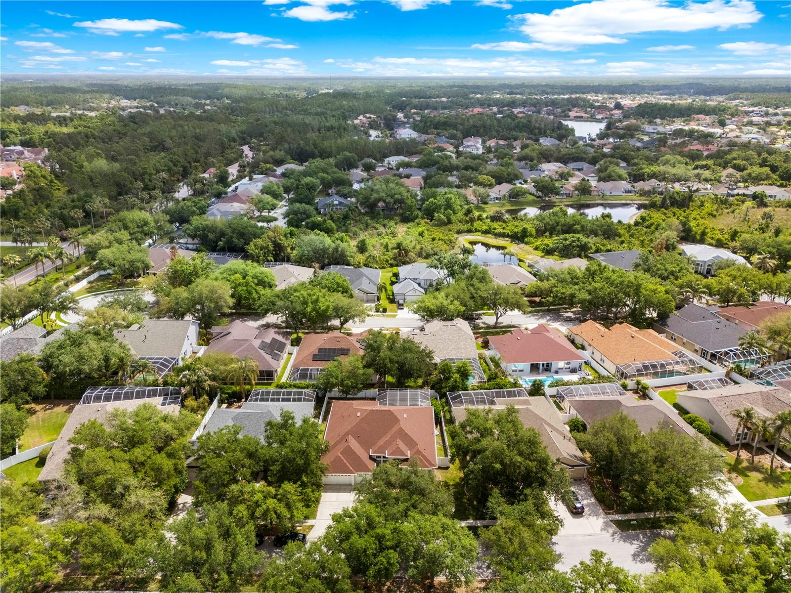 10254 SHADOW BRANCH DR, TAMPA, FL, 33647