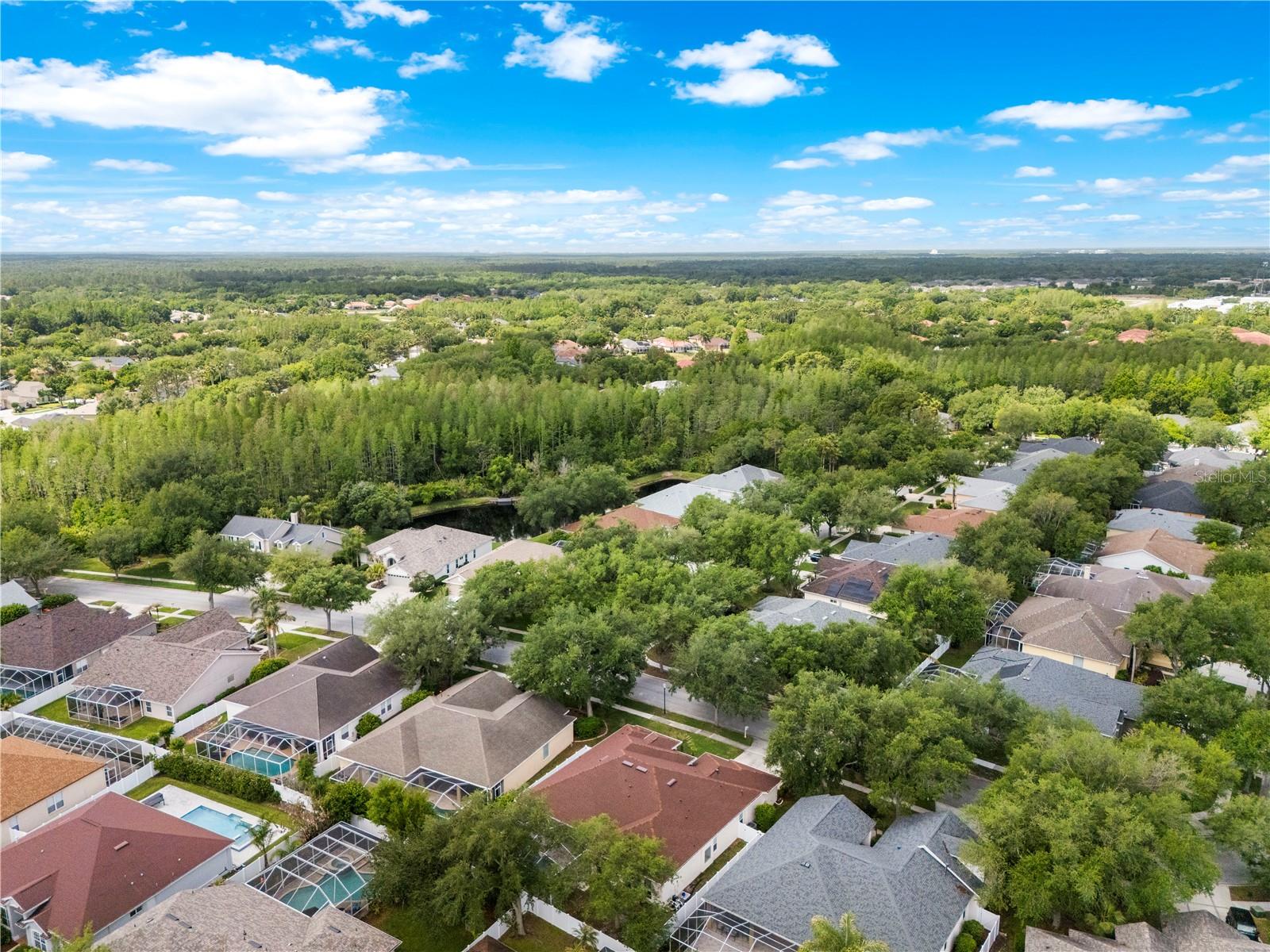 10254 SHADOW BRANCH DR, TAMPA, FL, 33647