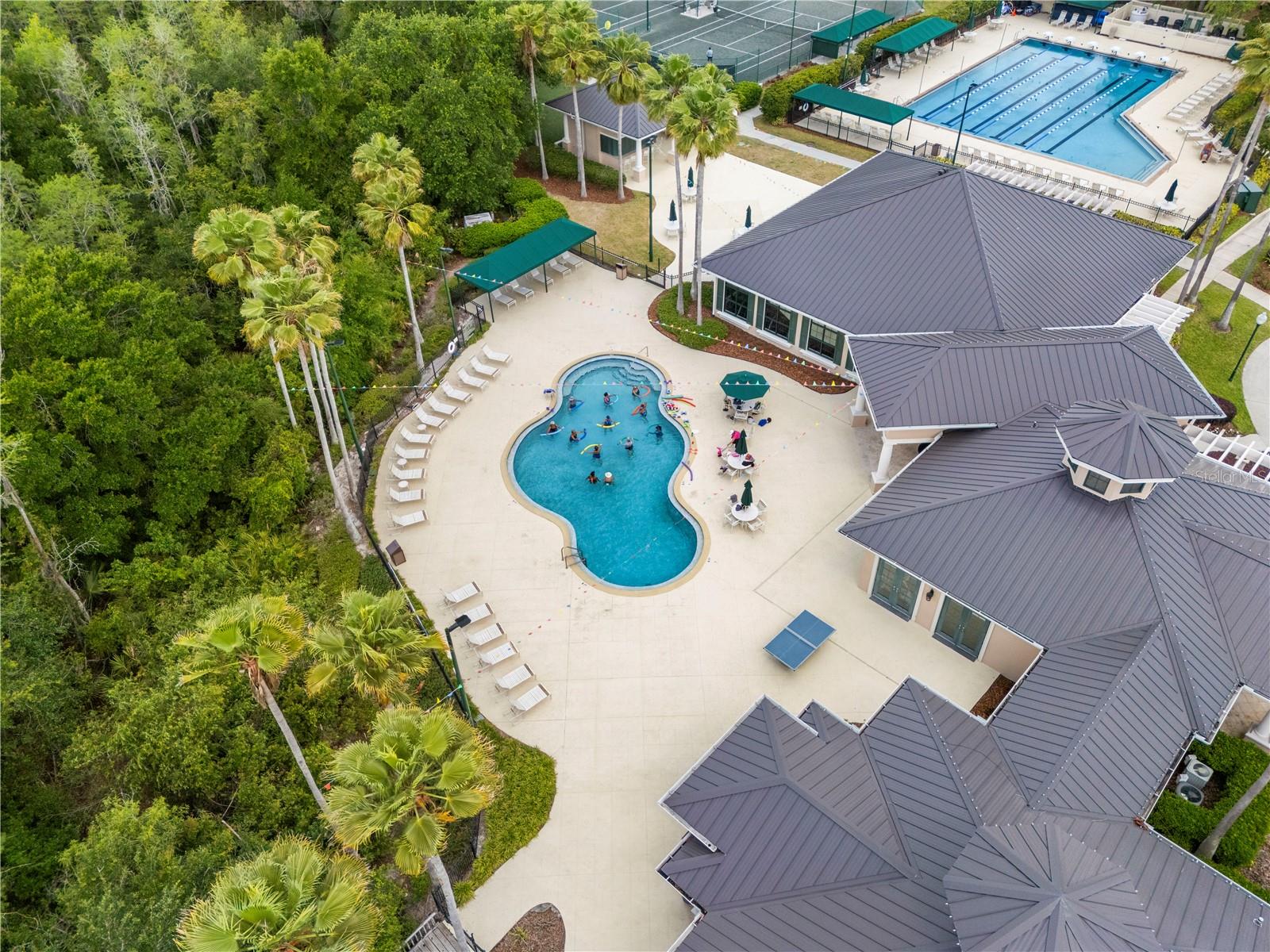 10254 SHADOW BRANCH DR, TAMPA, FL, 33647