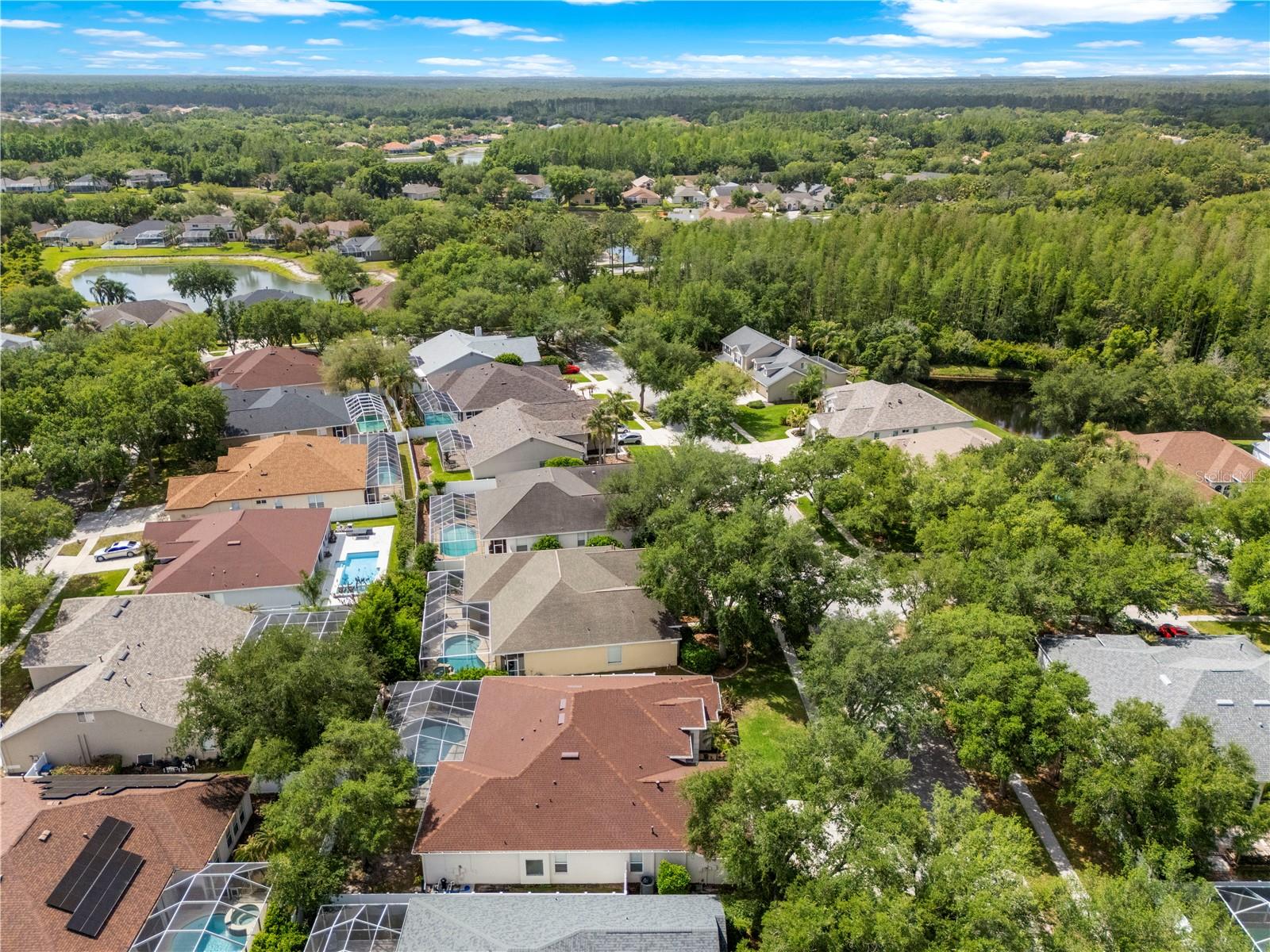 10254 SHADOW BRANCH DR, TAMPA, FL, 33647