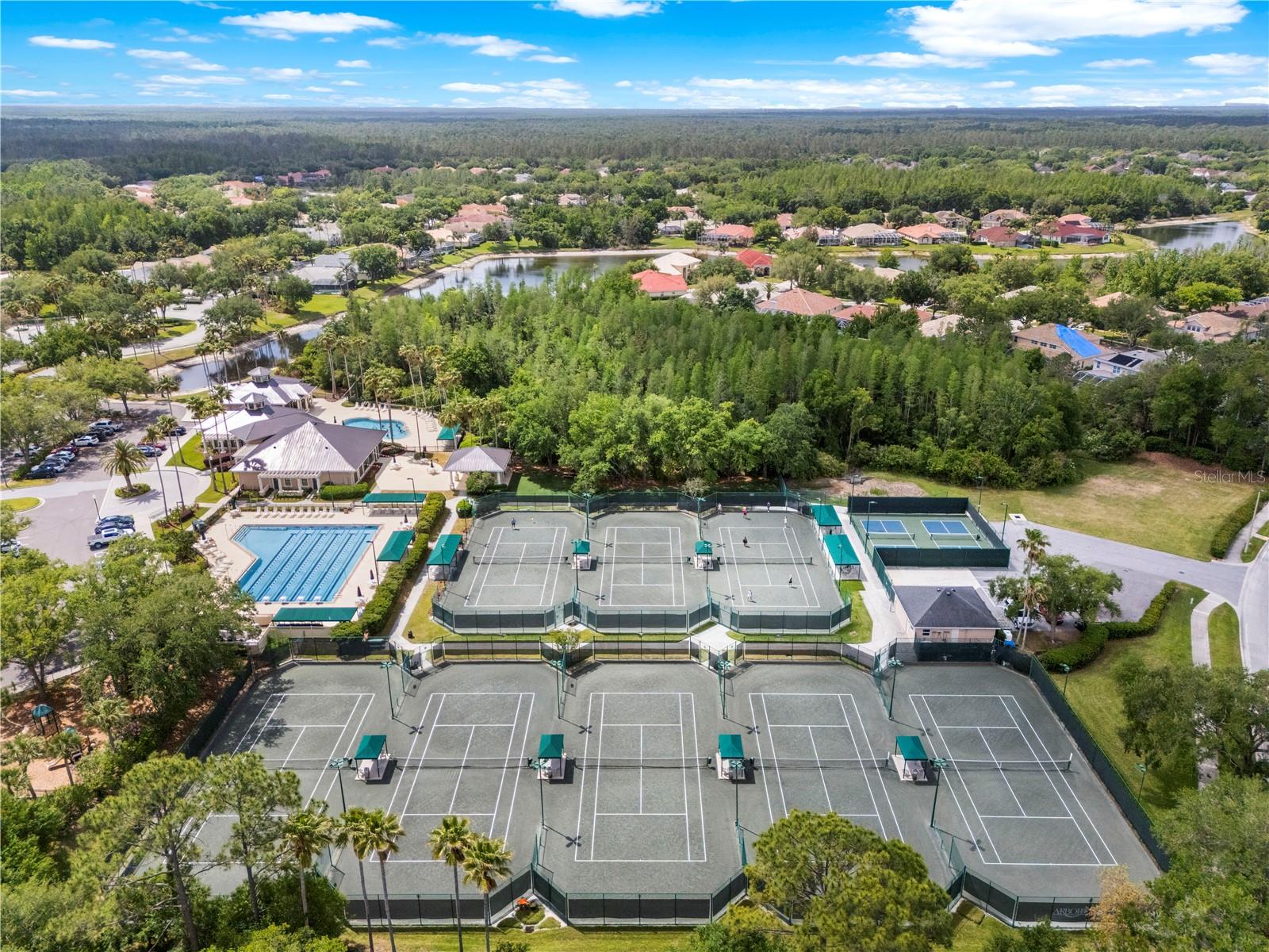 10254 SHADOW BRANCH DR, TAMPA, FL, 33647