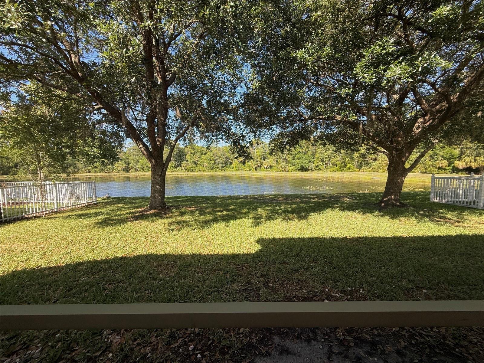 19138 MEADOW PINE DR, TAMPA, FL, 33647