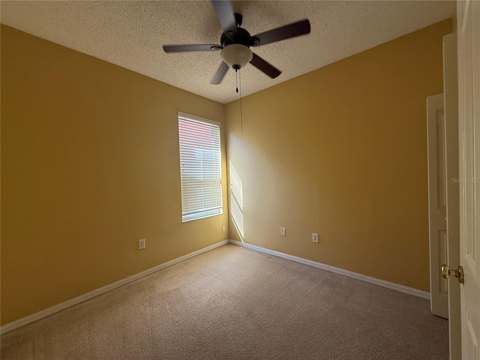 19138 MEADOW PINE DR, TAMPA, FL, 33647