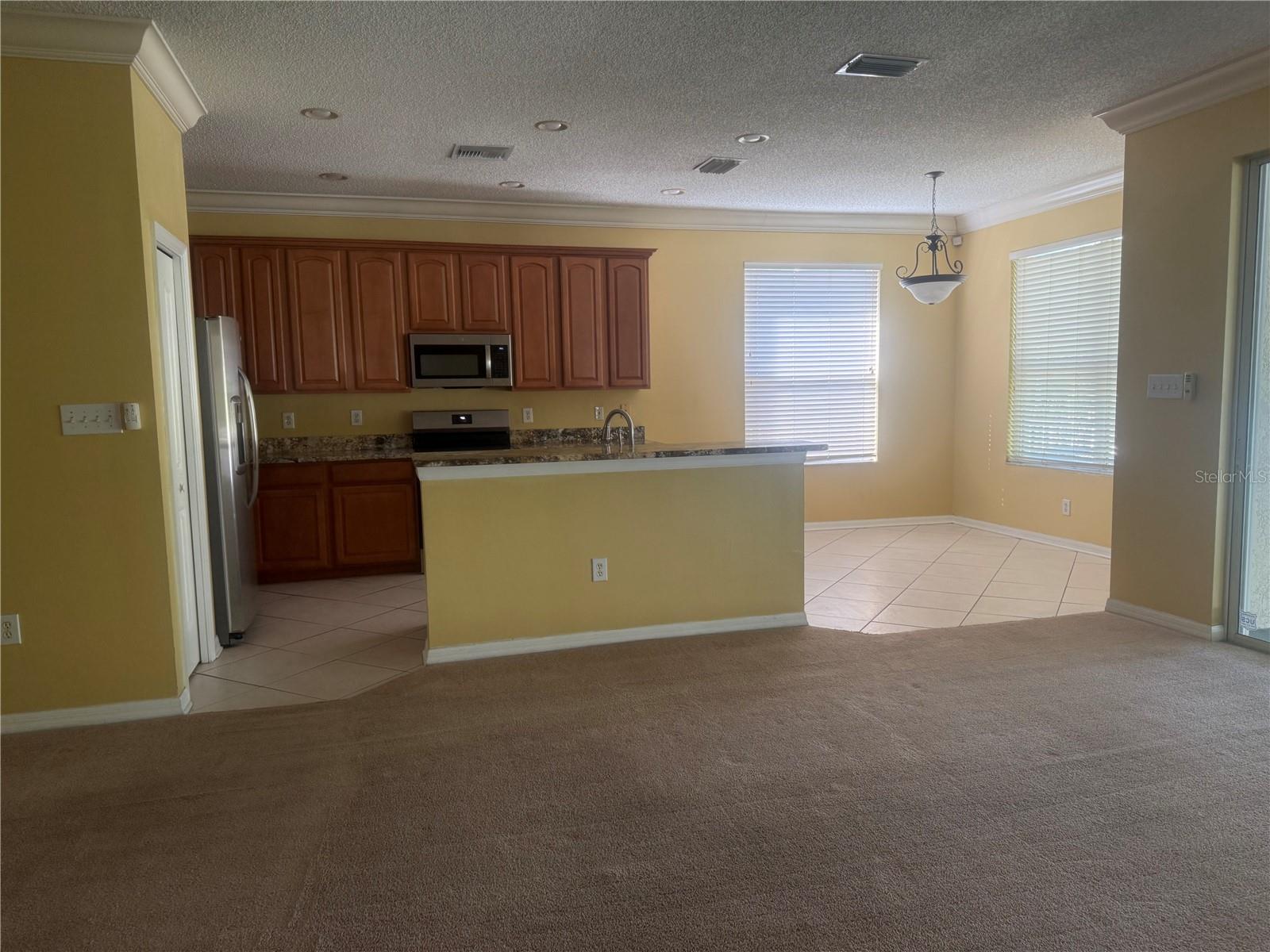 19138 MEADOW PINE DR, TAMPA, FL, 33647