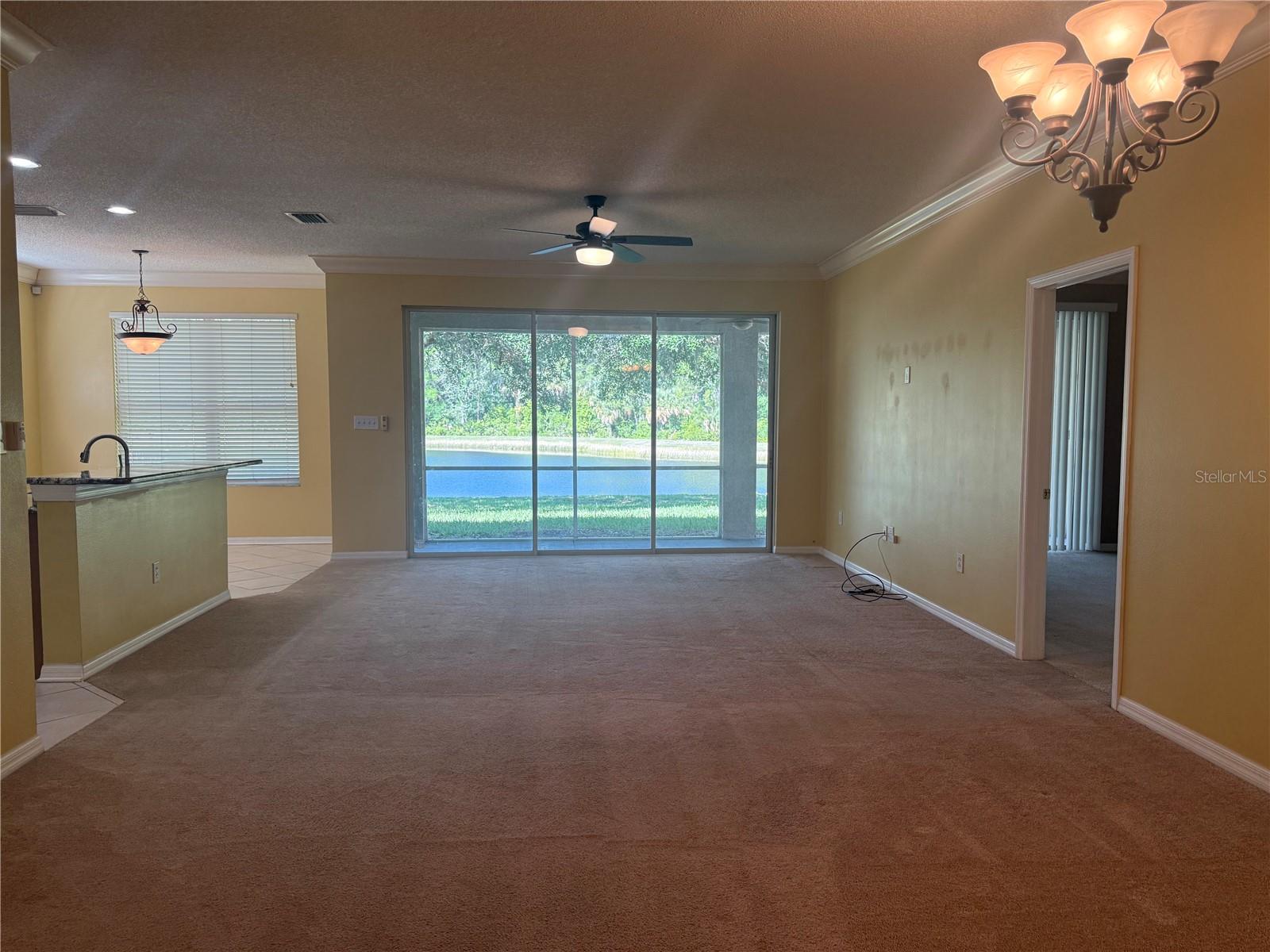 19138 MEADOW PINE DR, TAMPA, FL, 33647