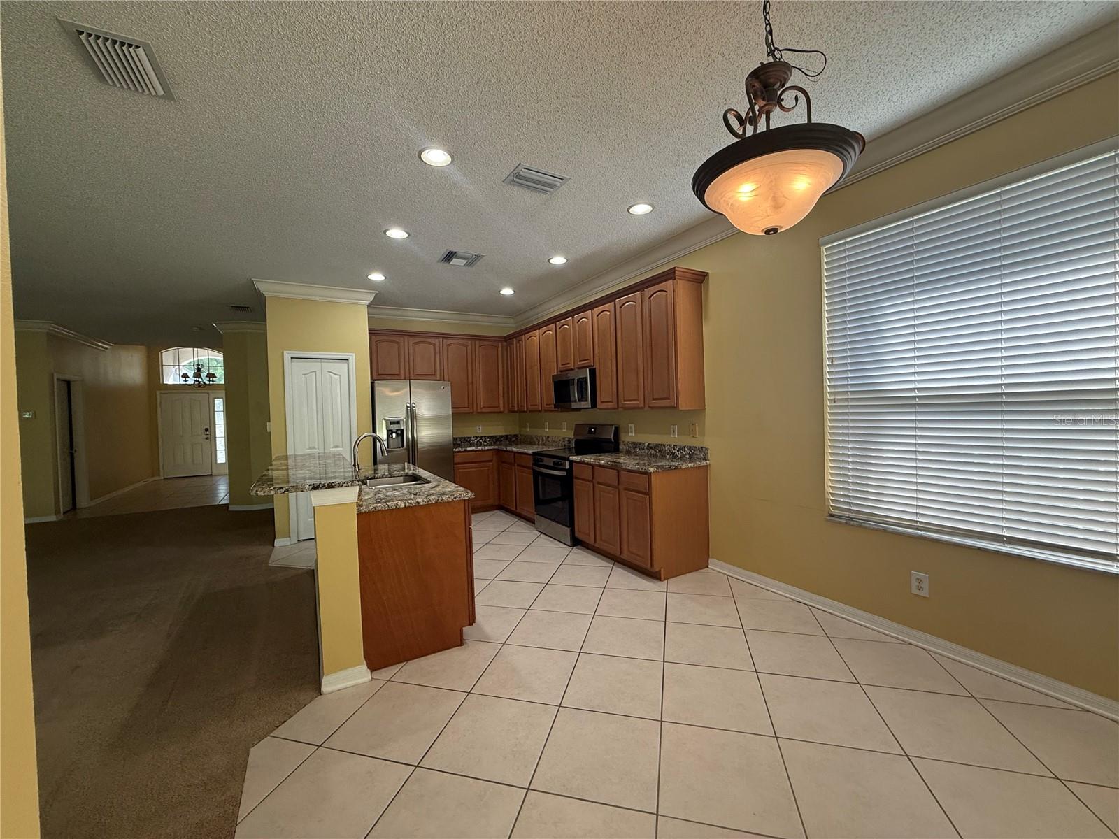 19138 MEADOW PINE DR, TAMPA, FL, 33647