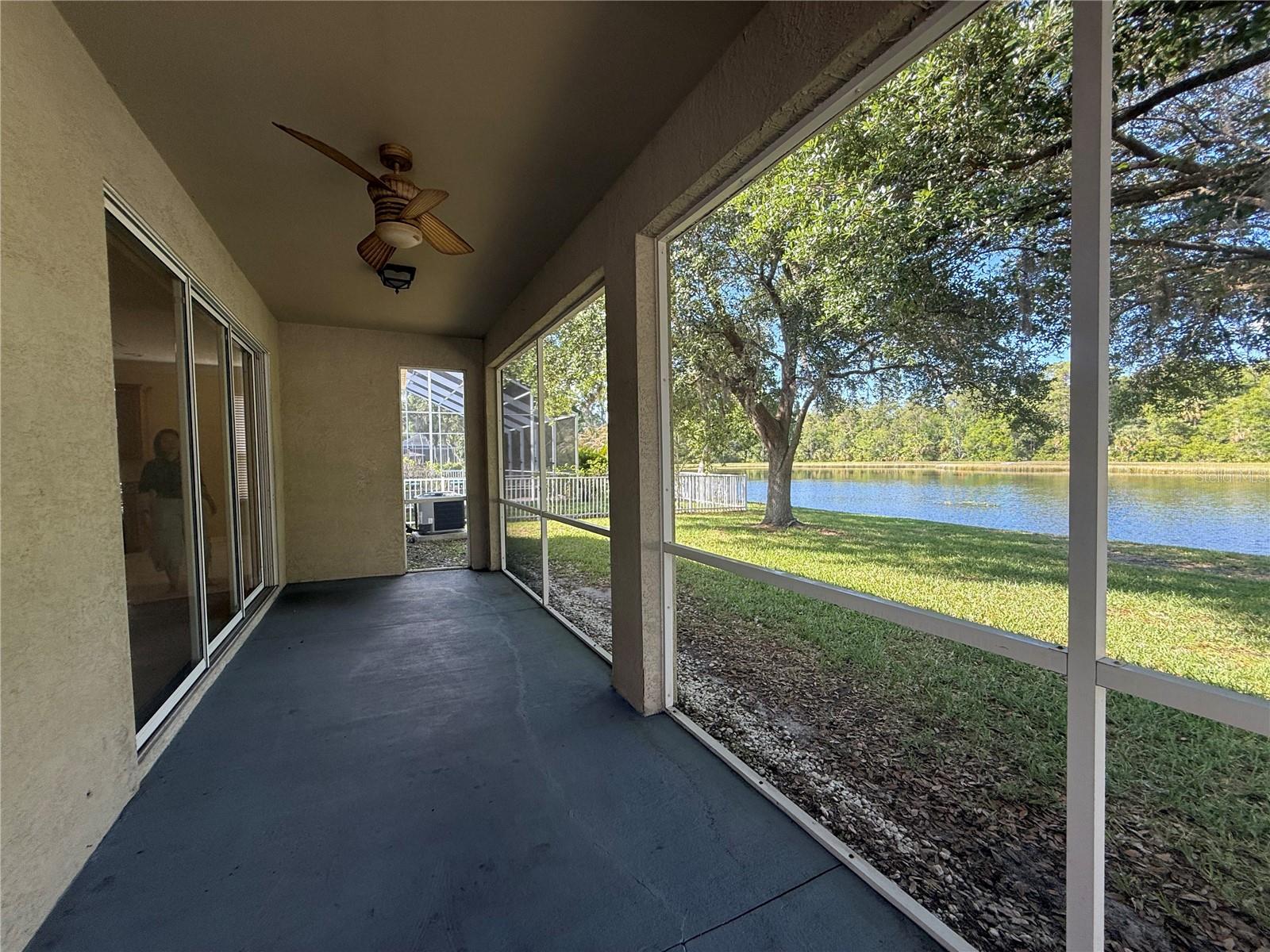 19138 MEADOW PINE DR, TAMPA, FL, 33647