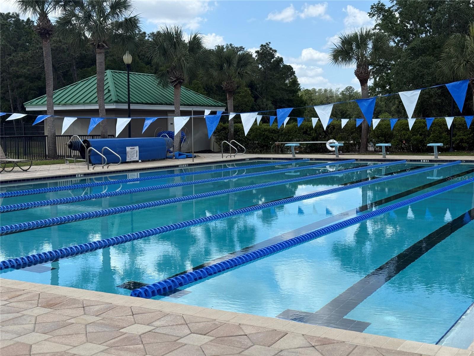 19138 MEADOW PINE DR, TAMPA, FL, 33647